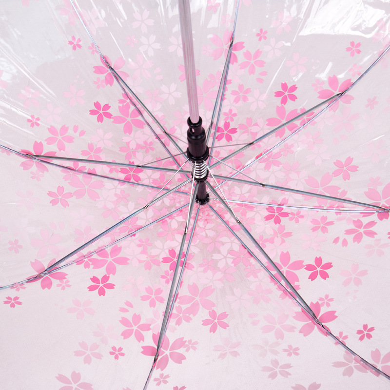 Floral Transparent Umbrella