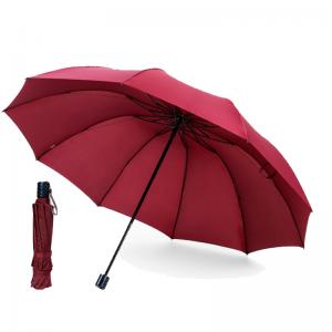 10 ribs folding umbrella