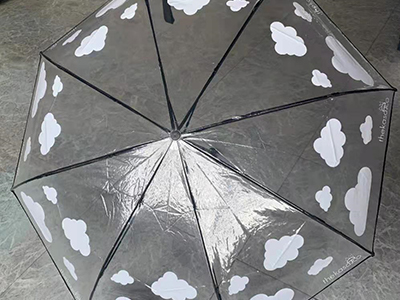 The process for the order of transparent umbrella
